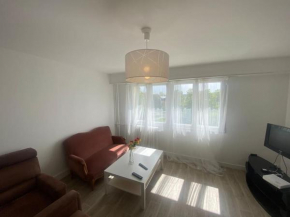 Cosy et spacieux Mulhouse